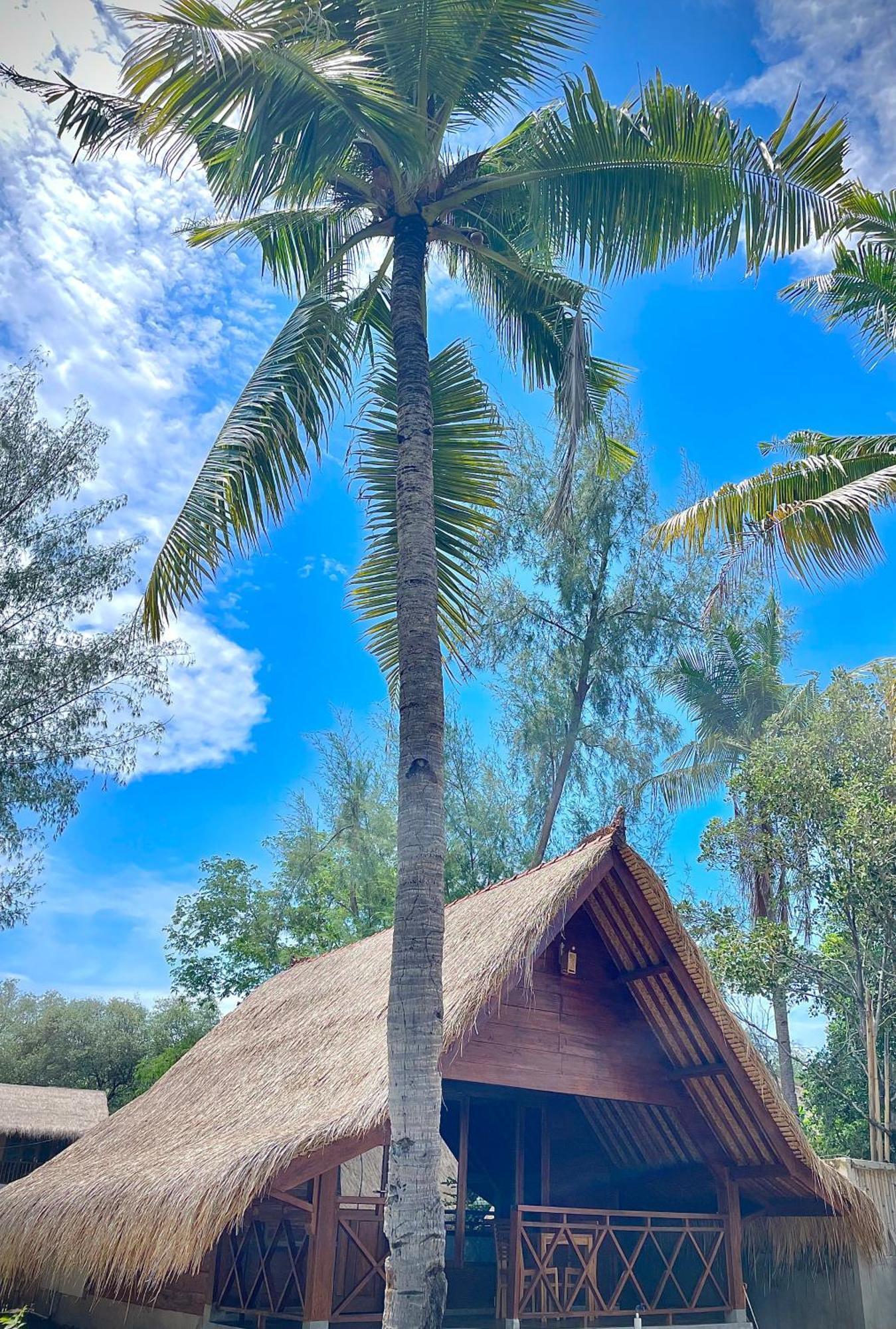 Saja Cottage, Gili Meno Exterior foto